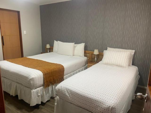 Cabanas Bosque Austral Пунта-Аренас Экстерьер фото